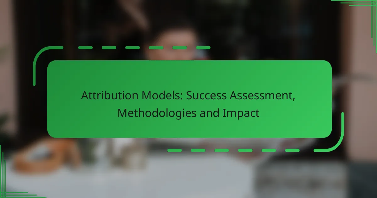 Attribution Models: Success Assessment, Methodologies and Impact