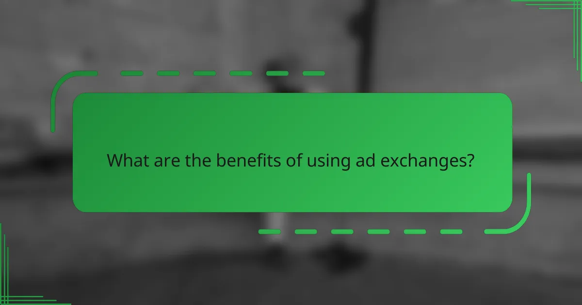 What are the benefits of using ad exchanges?